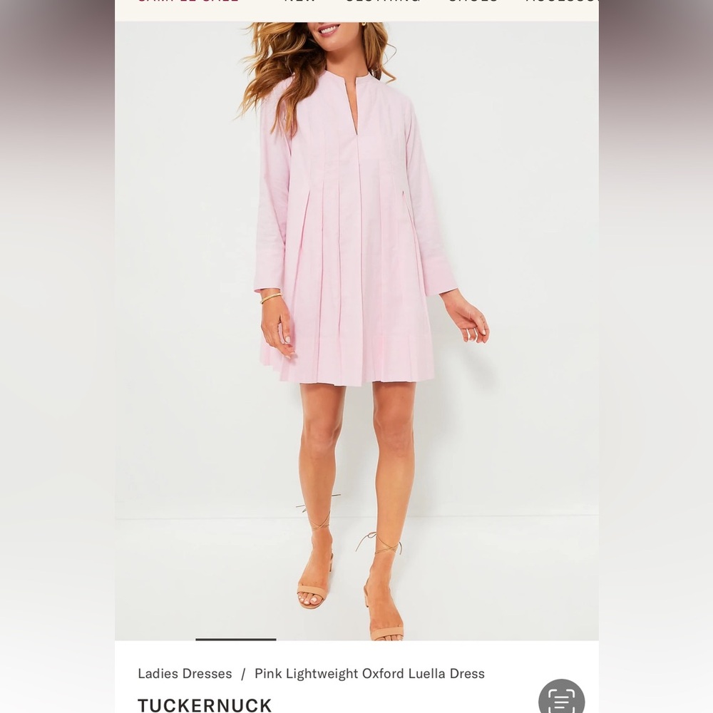 Pink Lightweight Oxford Luella Dress